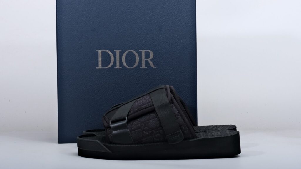 Dior Alpha Oblique Reps